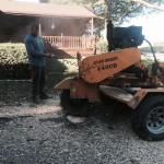 Tree Services of Omaha is a full service tree care provider in Omaha, Nebraska offering tree removal, tree trimming, stump removal, stump grinding, tree health care, and arborist consultations.